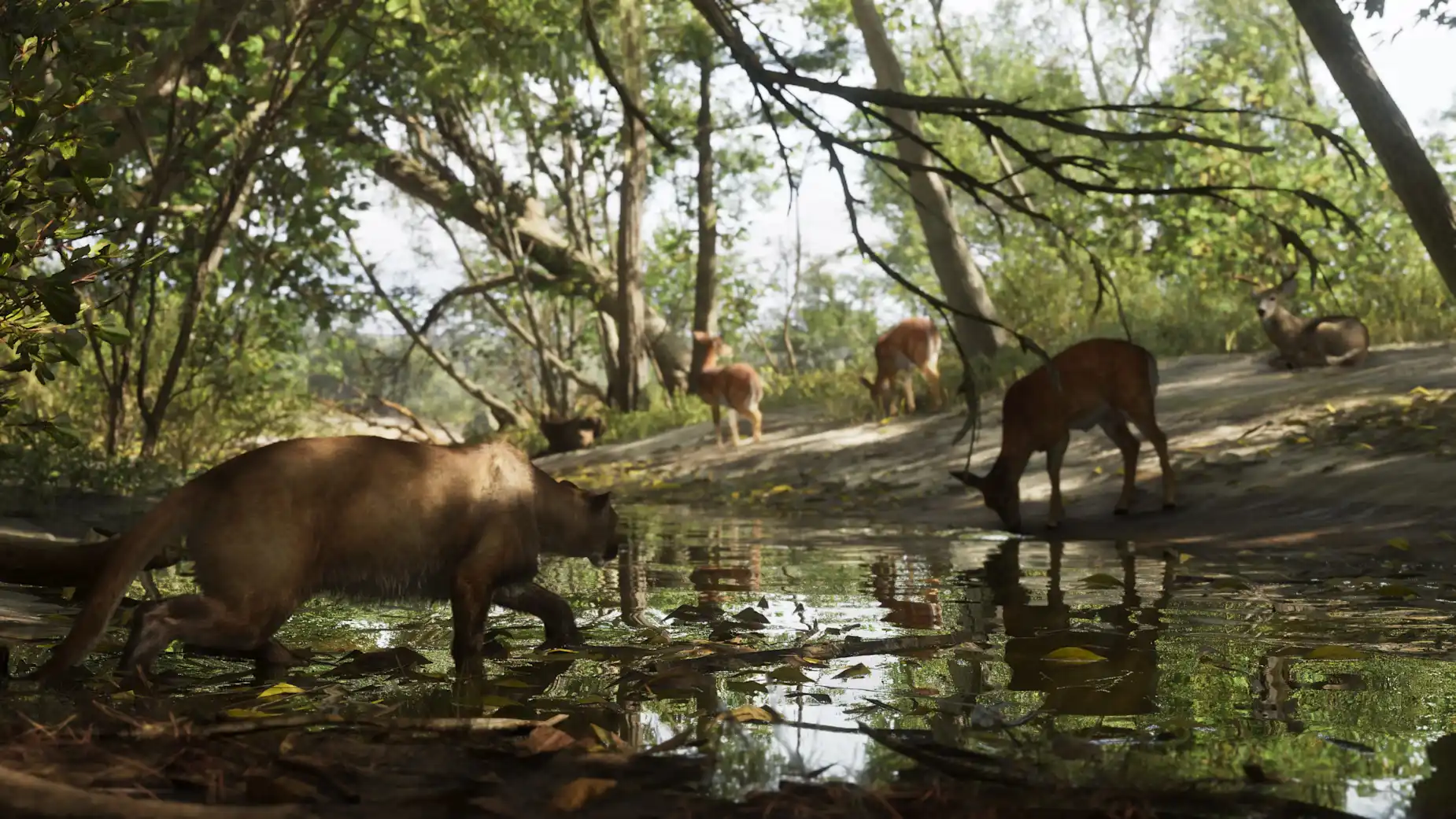 GTA 6 screenshot showing a cougar stalking deer beside a woodland stream in Mount Kalaga National Park, surrounded by dense forest and lush greenery in Leonida.